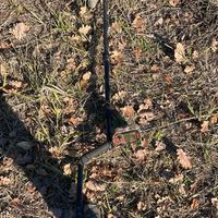 Metal Detector Fisher F19 camo