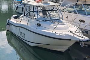 BOSTON 255 CONQUEST  2 MERCURY 200HP 1 ANNO GARANZ