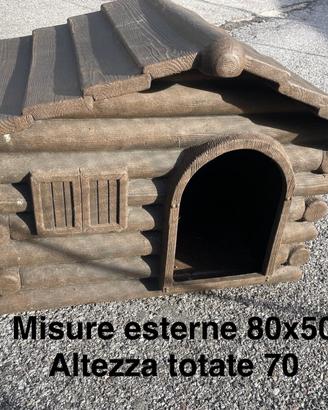 Cuccia cane