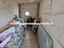 Immagine 29