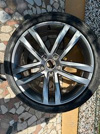 cerchio R line brunito golf 7