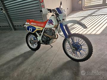 XR 250 ISCRITTA FMI
