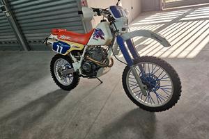 XR 250 ISCRITTA FMI