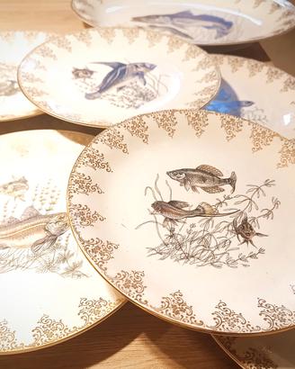 Servizio di piatti vintage per il pesce 