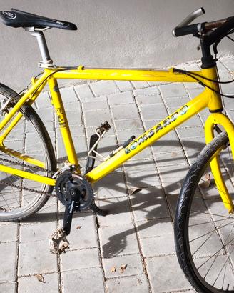 Bicicletta 26