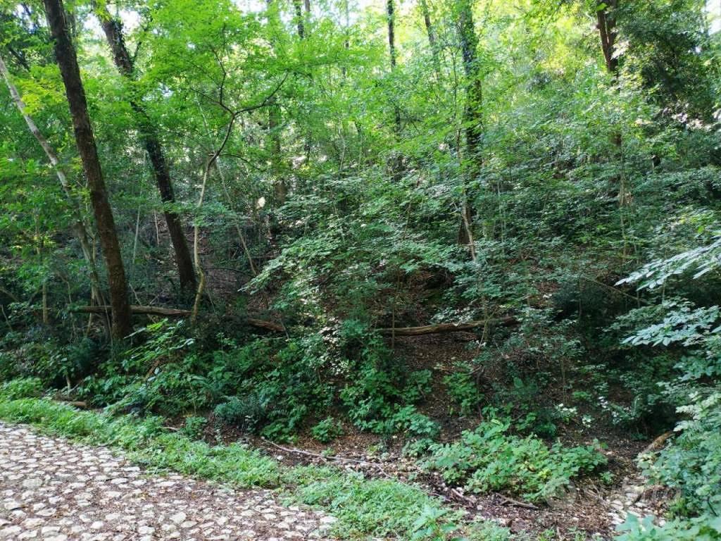 Terreno di 1720 m² a Polcenigo - Vista 4