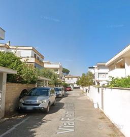 Nettuno spazioso monolocale ammobiliato