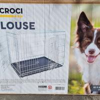 Kennel cani