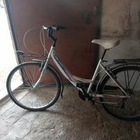 bici da passeggio