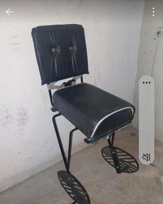 seggiolino posteriore pet bambino