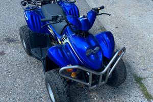 PGO quad 50cc targato