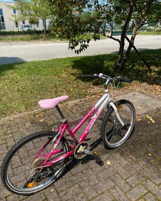 Bicicletta