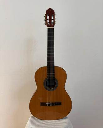 Chitarra Serie Vibra , mod 100