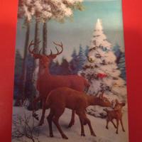 Cartoline Lenticolari 