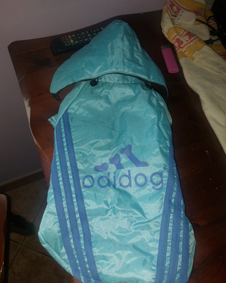 Vestito cagnolini