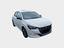 Immagine 7