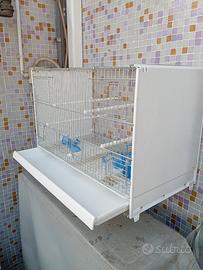 gabbia per canarini 