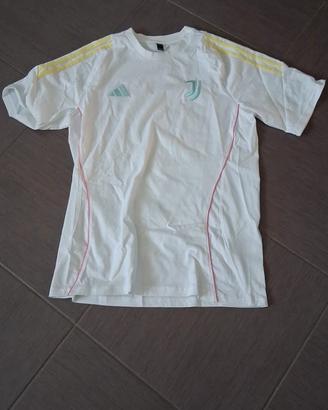 Tshirt e pantaloncini Juventus originali 
