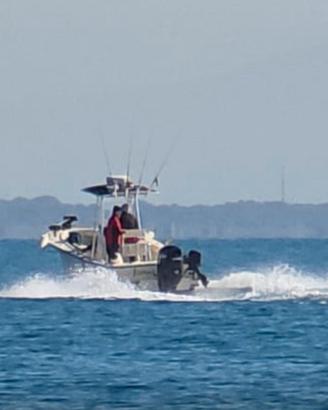 AL CUSTOM 21 CC + 200hp SUZUKI (2025) + 6hp SUZUKI