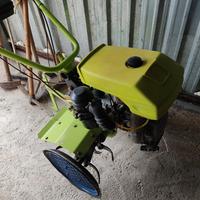 motozappa grillo