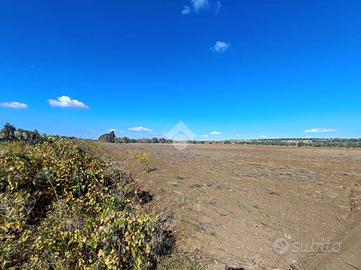 TER. AGRICOLO A PORTO CESAREO