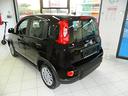 fiat-panda-1-0-hybrid-70cv-pronta-consegna