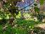 Immagine 28