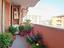 Immagine 13