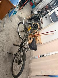 due ottime  biciclette