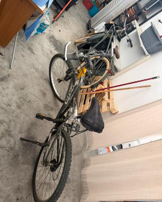 due ottime  biciclette