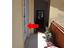 Immagine 16
