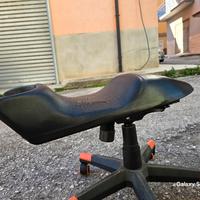 Sella ribassata Ducati monster
