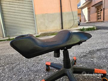 Sella ribassata Ducati monster