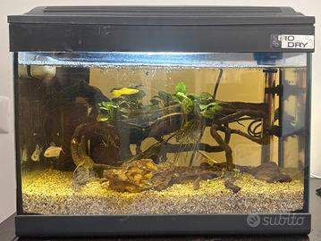 Acquario completo avviato