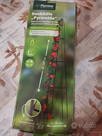 piramide per piante rampicante