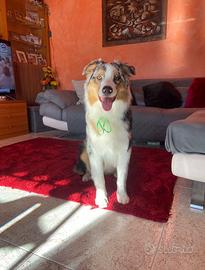 Per monta