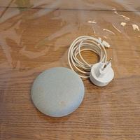 google home google nest.mini