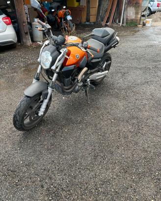 MT-03 MOTO NEOFITI