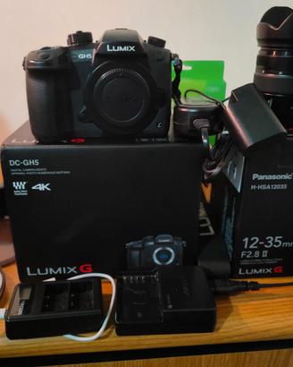 Panasonic GH5 + Lumix G X Vario 12-35mm f/2.8 + ac