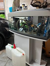 Acquario vetro curvo 100 litri