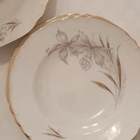 PIATTI GINORI FILO ORO 12+12+11+6 VARI (RM)NO SPED