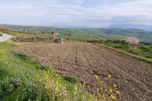 Terreno Agricolo