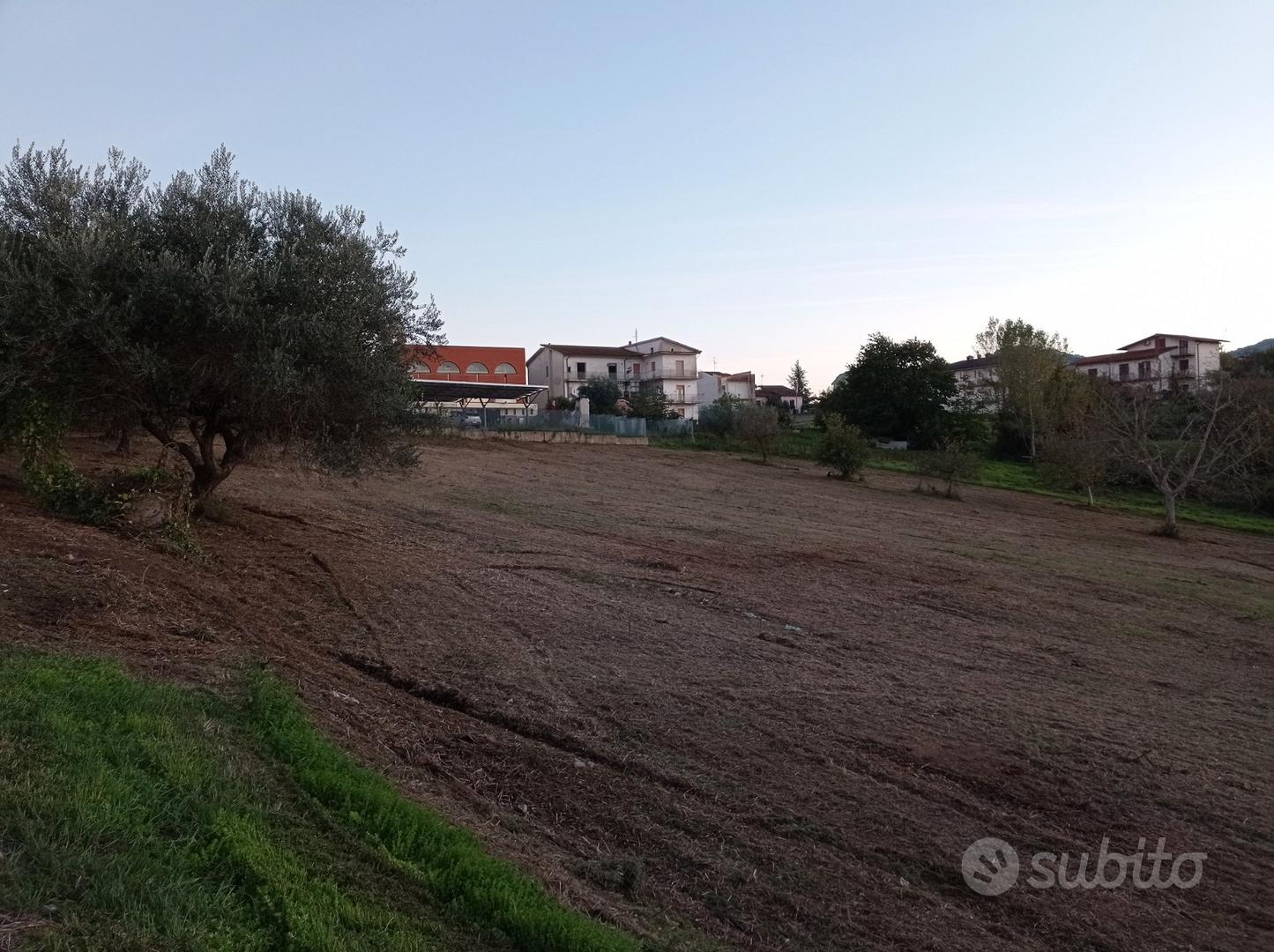 Terreno 5000 mq - Vista 3