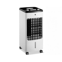 Raffrescatore Deumdificatore