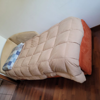 Letto singolo imbottito