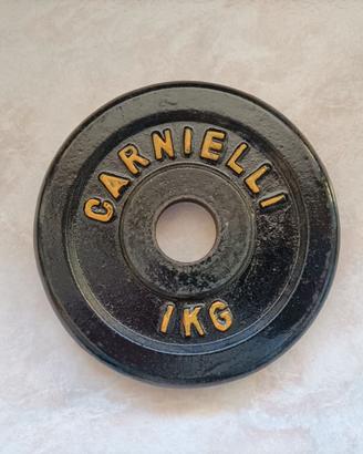 Dischi in ghisa 1kg