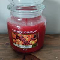 Yankee candle giara media 