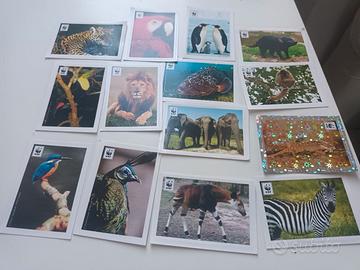 100 Figurine Animali ALBUM del WWF
