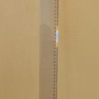 Riga 80 cm con goniometro incorporato