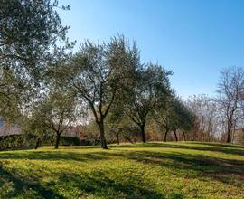 Terreno a Crocetta del Montello (TV)